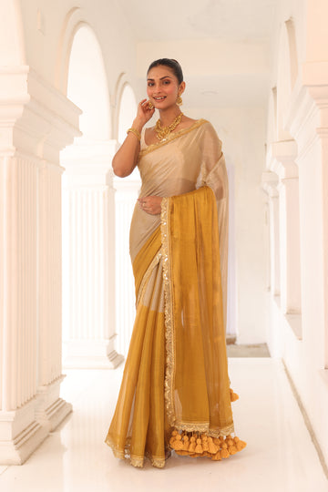 Gold and silver tissue saree