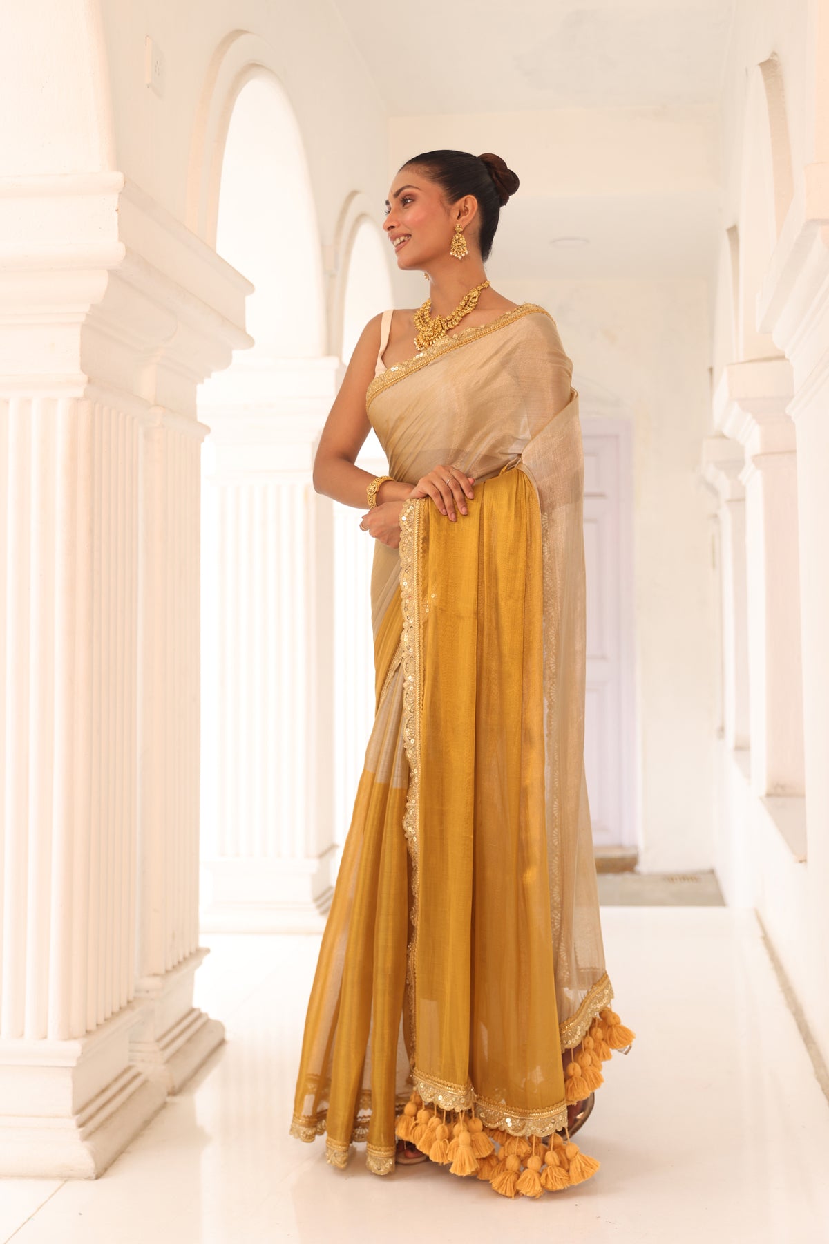 Gold and silver tissue saree