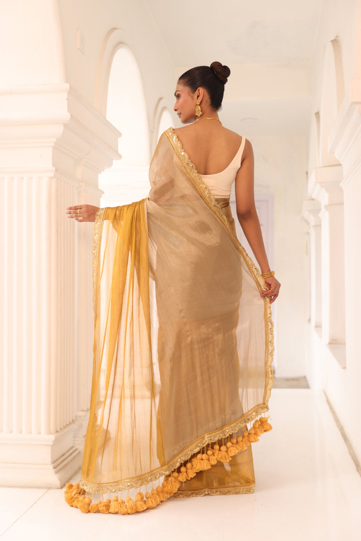 Gold and silver tissue saree