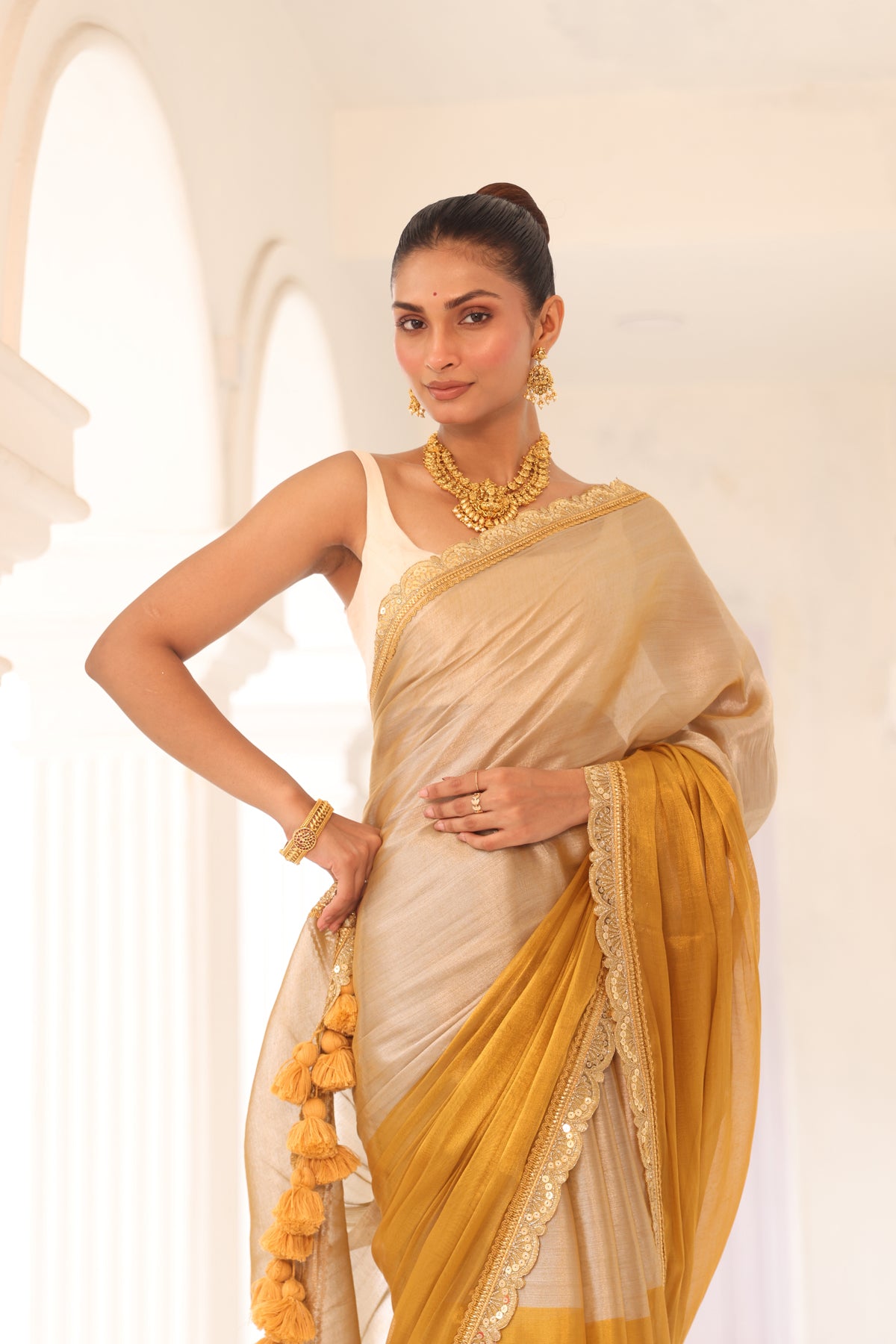 Gold and silver tissue saree